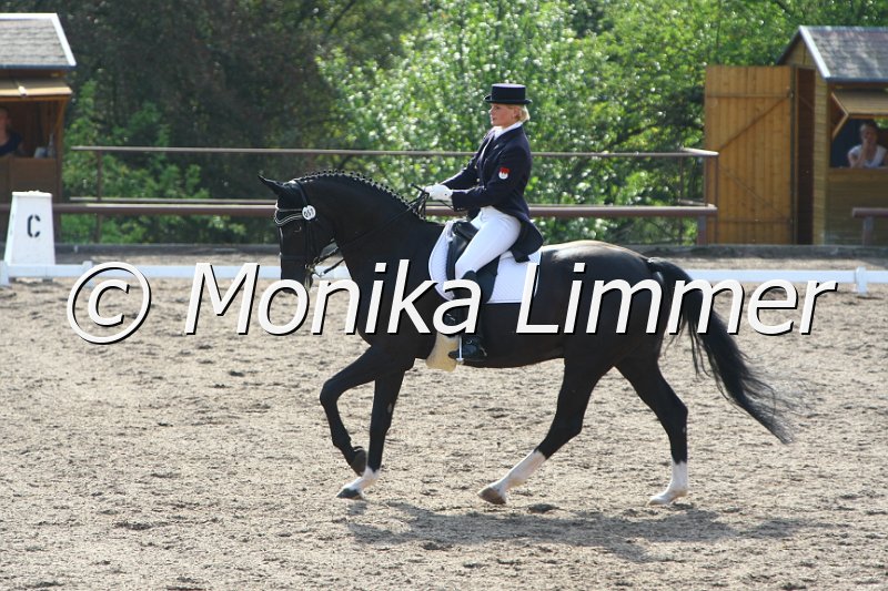 109M6919_Ferre_Intermediaire I_DressS.JPG